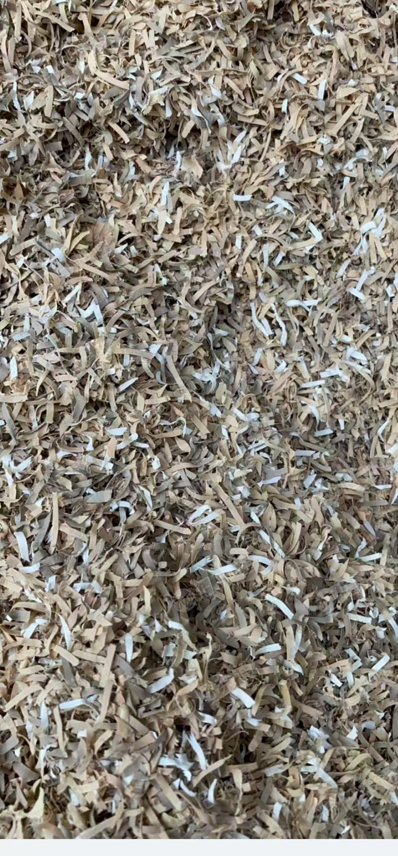 出售PVC密封条刨花料，封边条刨花，现货9.6一车