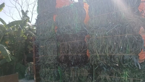 出售PET打包带毛料，聚酯打包带压块，现货30多吨