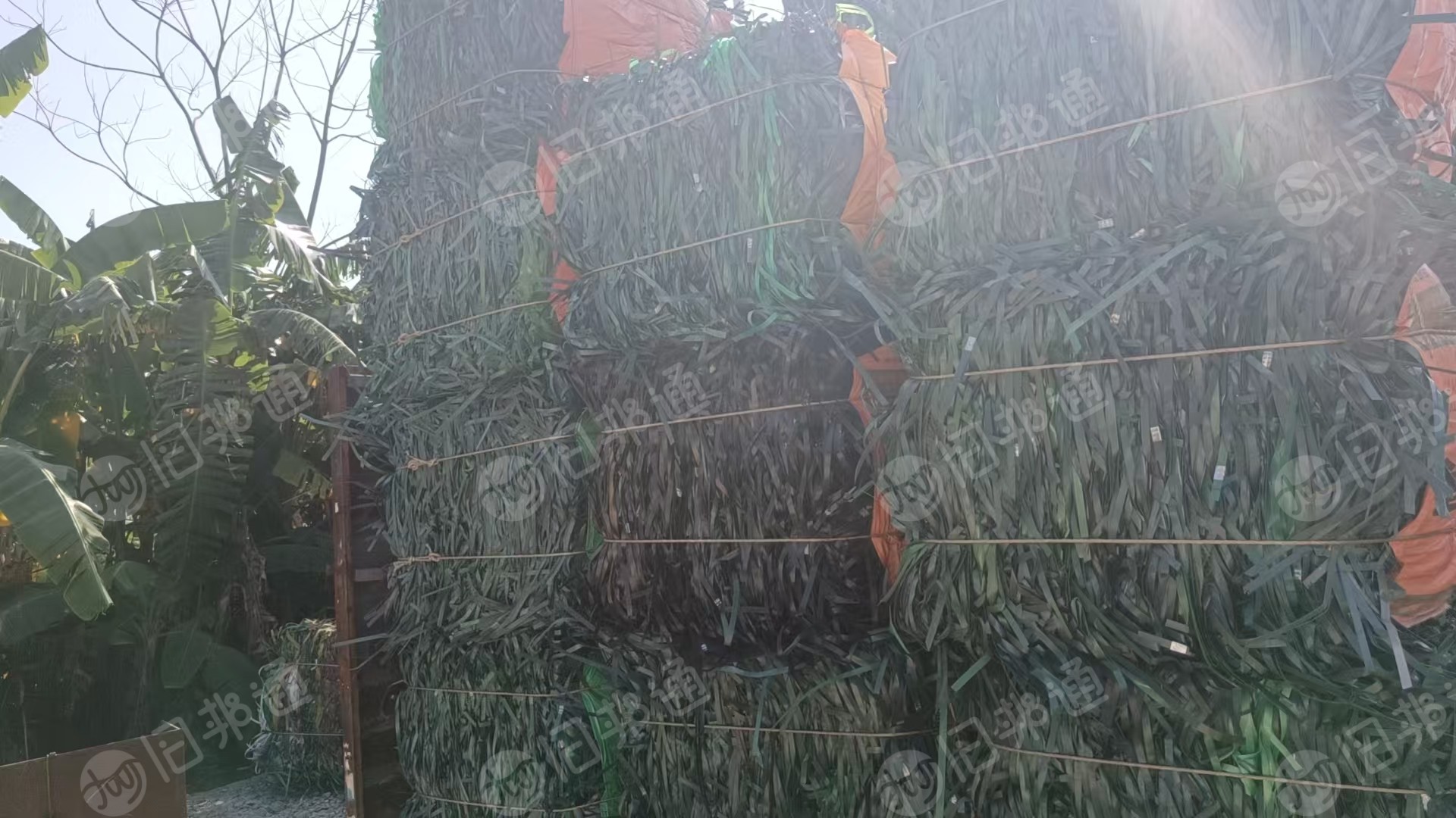 出售PET打包带毛料，聚酯打包带压块，现货30多吨