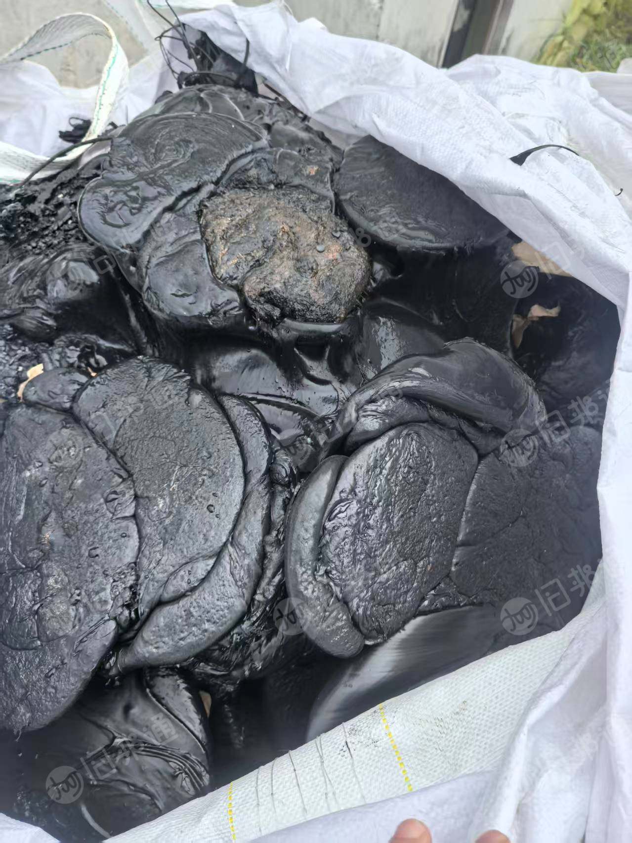 回收各种pe.pp.abs机头料