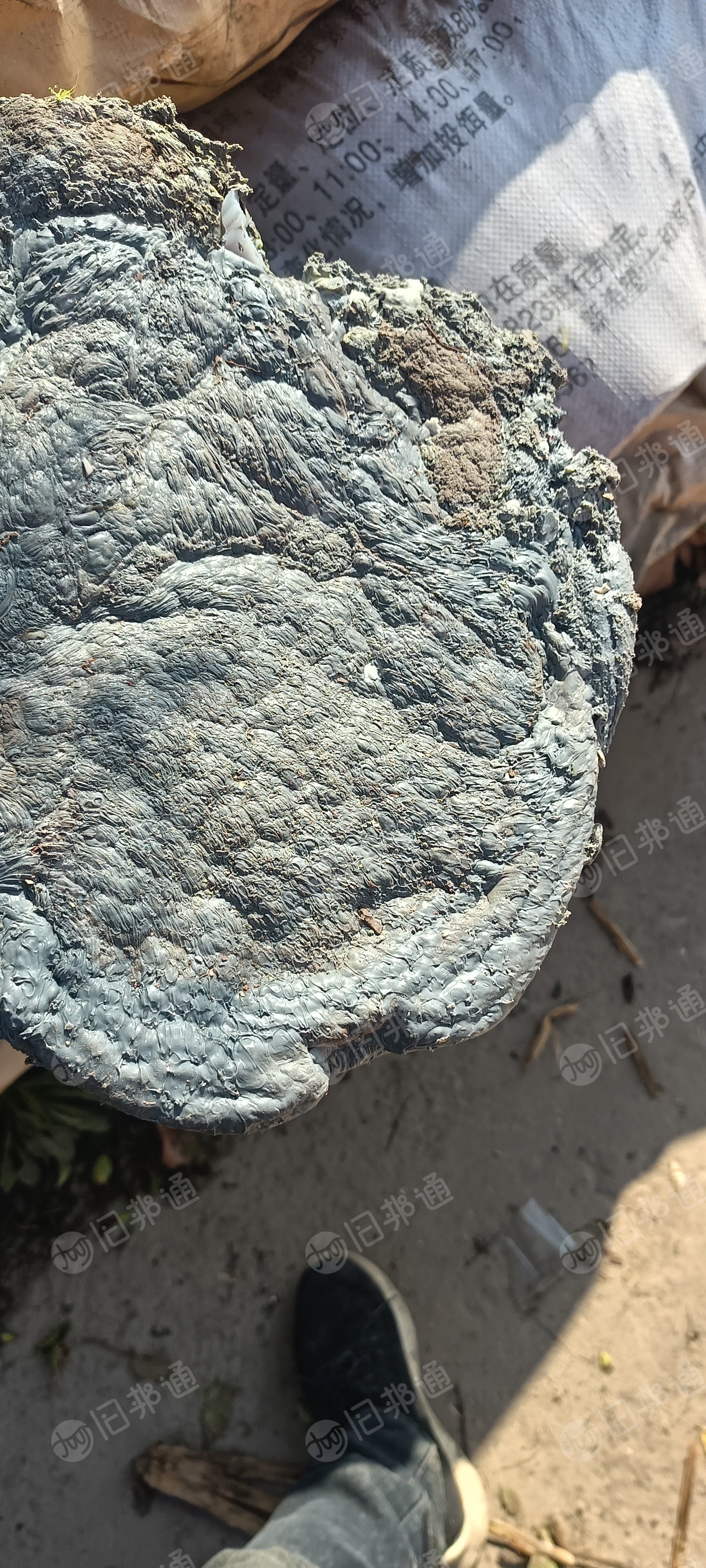 回收各种pe.pp.abs机头料