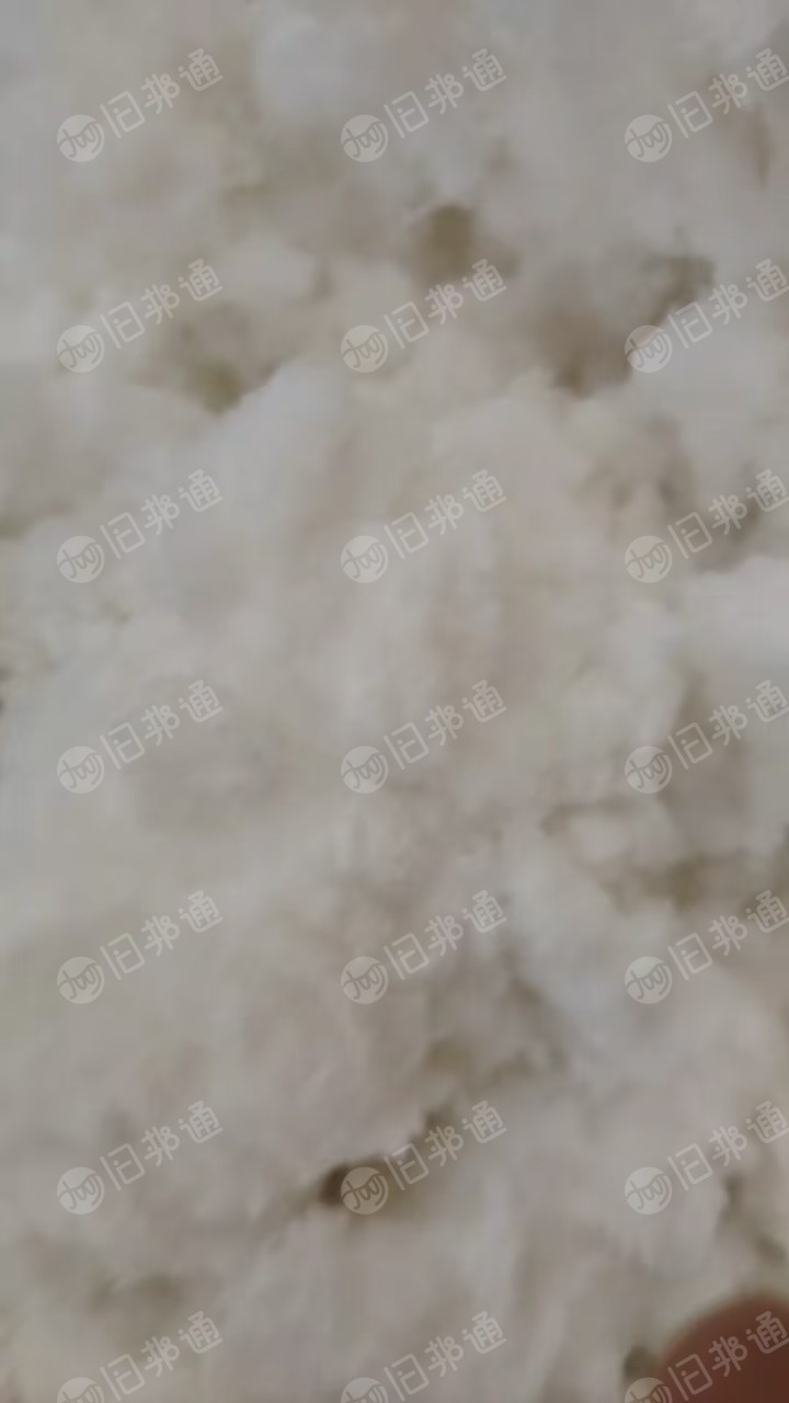 长期回收白色涤纶磨毛料,毛毛料,做切片用,月需1500吨