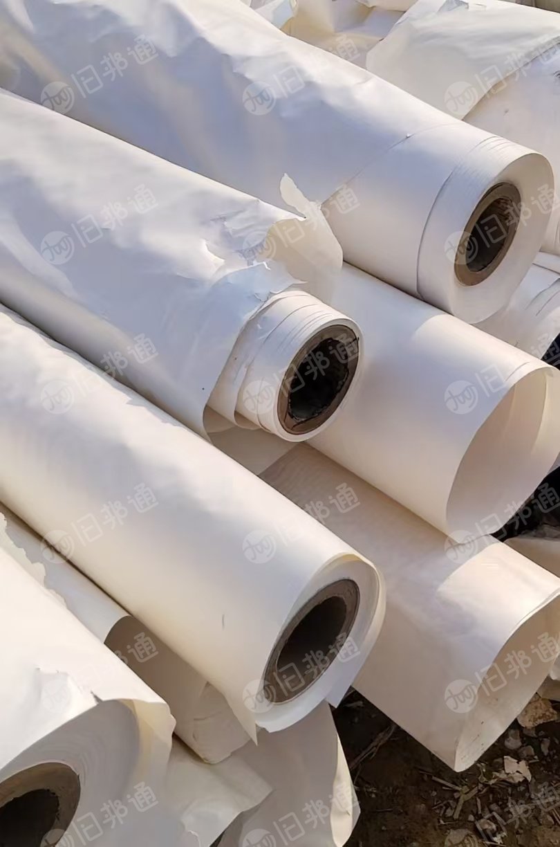 出售无膜CCK离型纸