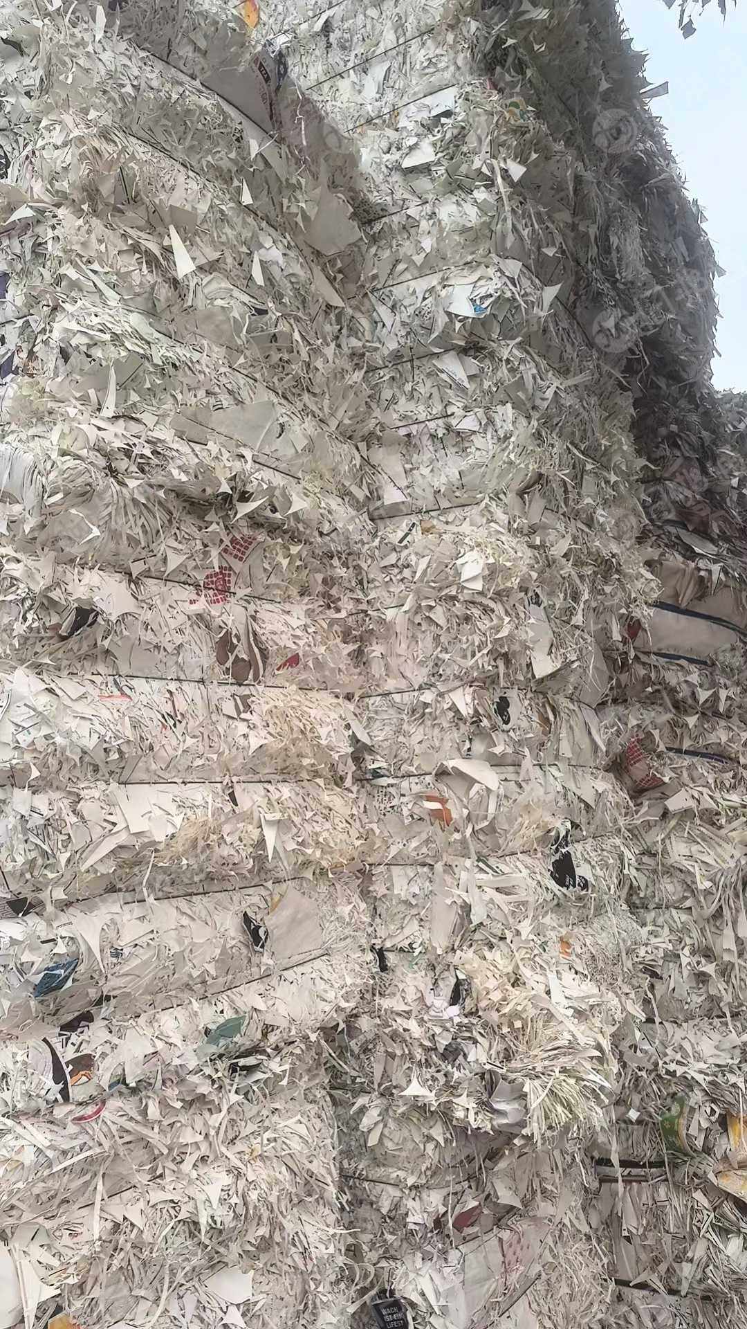 出售小花口杯纸边角料