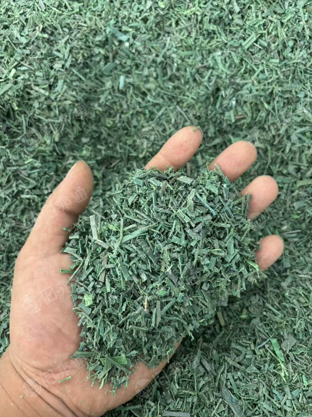 常年出售PET打包带破碎料，水粉，每个月200吨