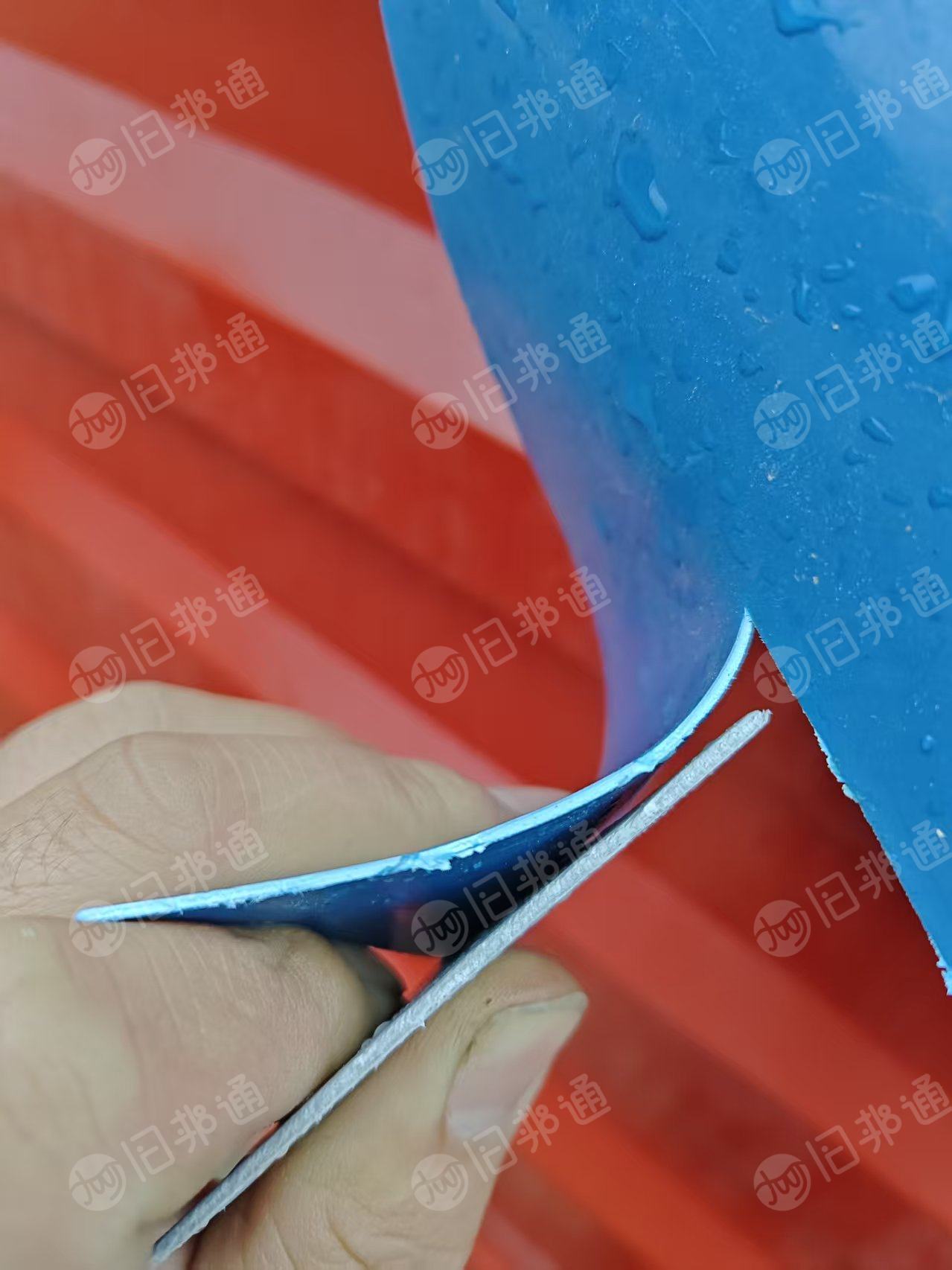 长期出售PE钢卷皮毛料，上漂