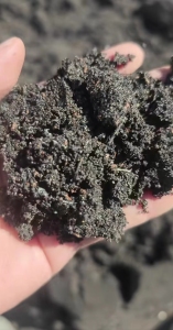 长期出售铜沙废料，现货20多吨，月供1车左右