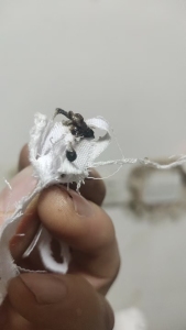 长期出售涤纶废布，涤纶边角料，裁床厂下来的，月供二三十吨