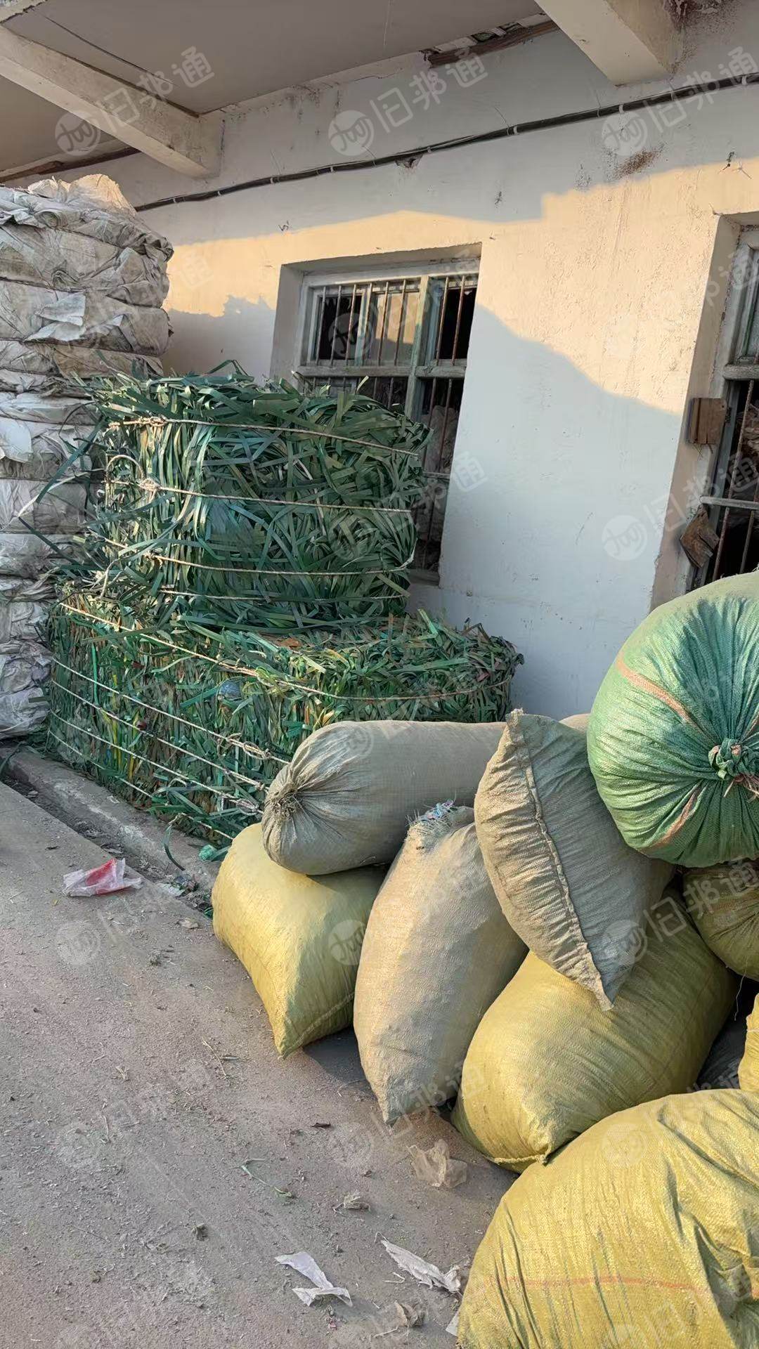 出售PET打包带毛料，长期有货