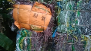 出售PP打包带废料，飘沉一体，月供十几吨