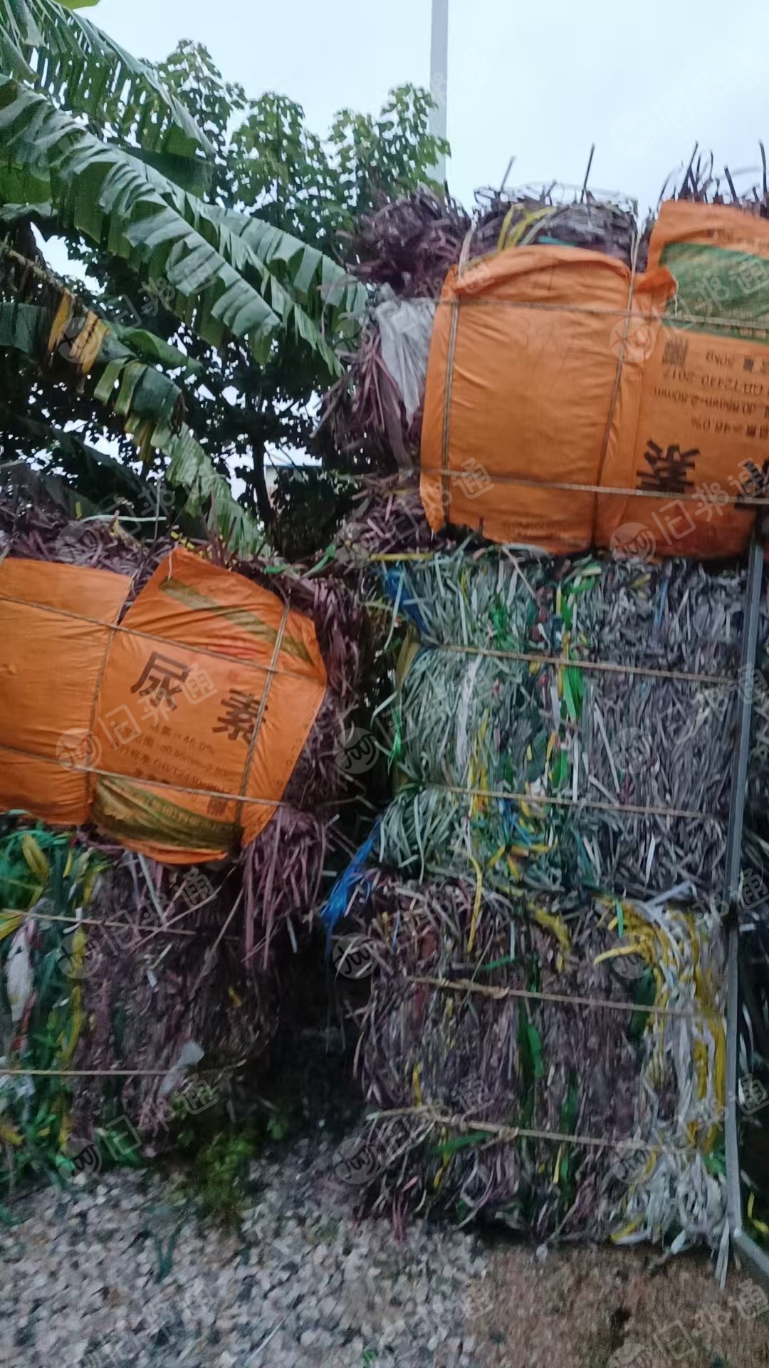 出售PP打包带废料，飘沉一体，月供十几吨