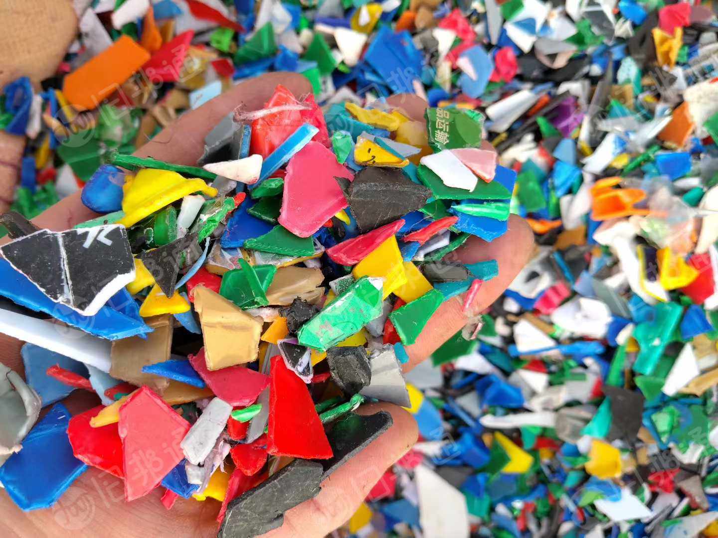 出售PP涂料桶破碎料，白桶，花桶都有