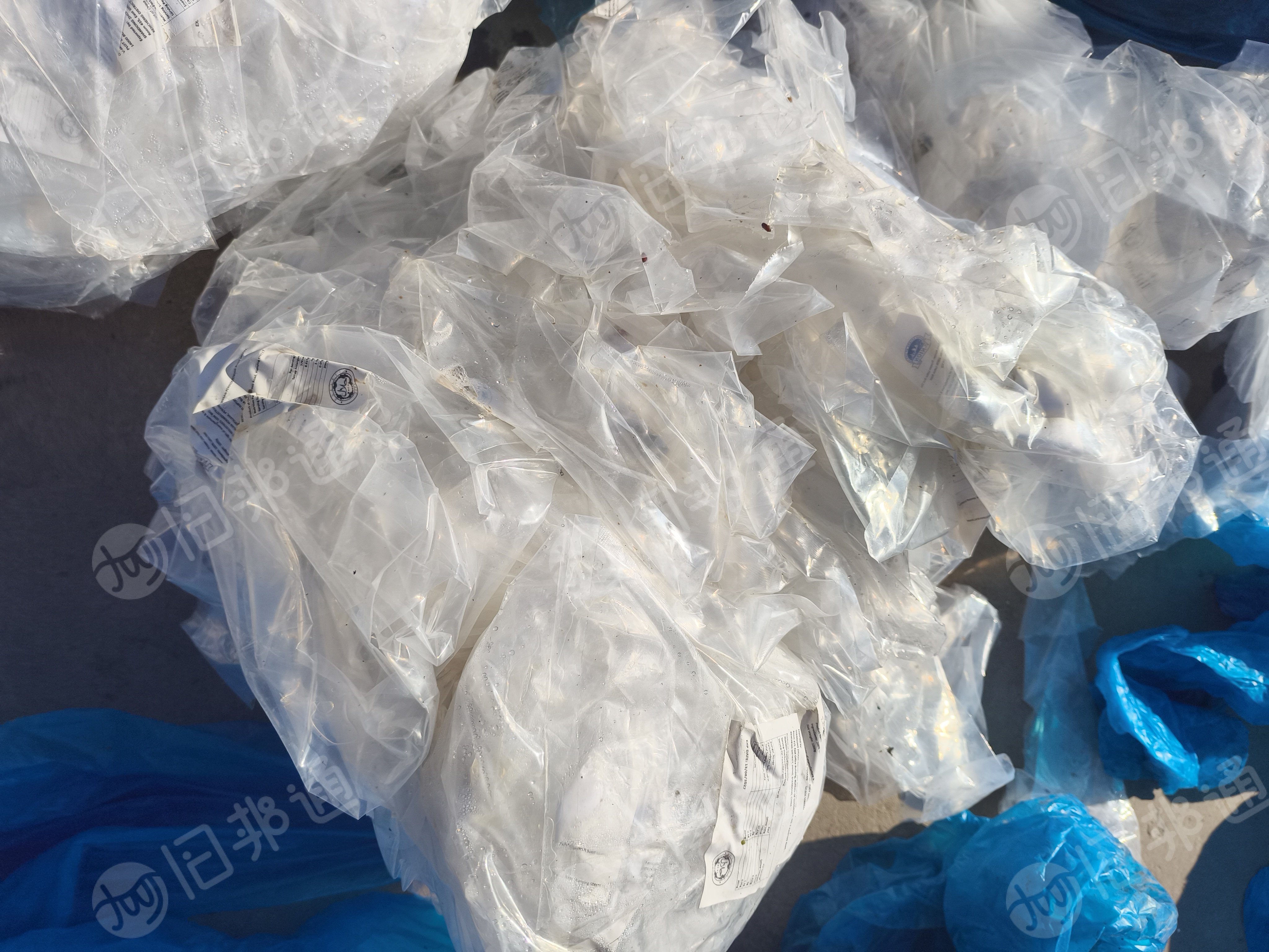 长期出售食品厂下来的高压膜、低压膜，有蓝色和透明