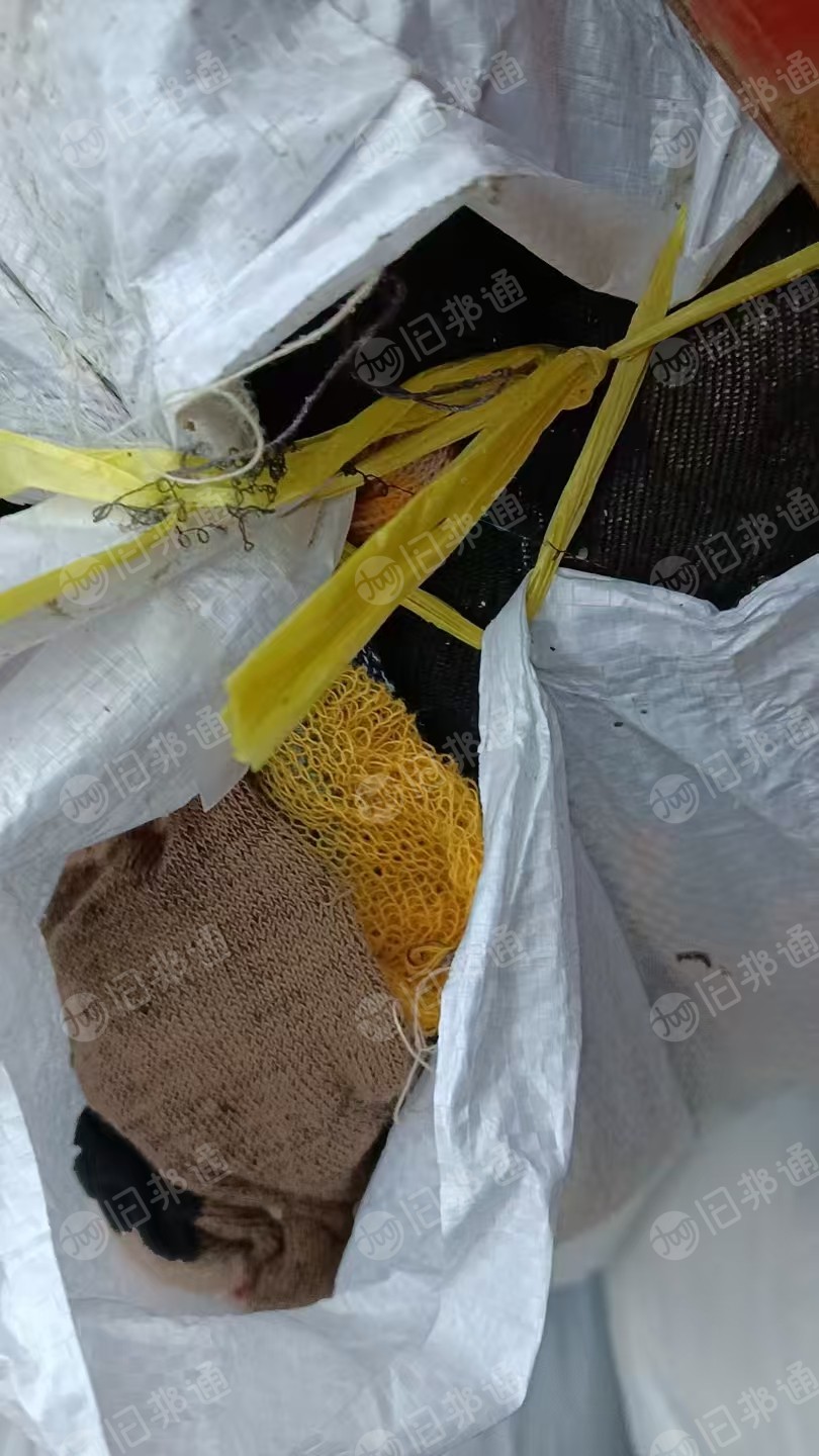 长期出售袜子厂下来的废袜子，袜圈，袜片，一次出4.2米一车