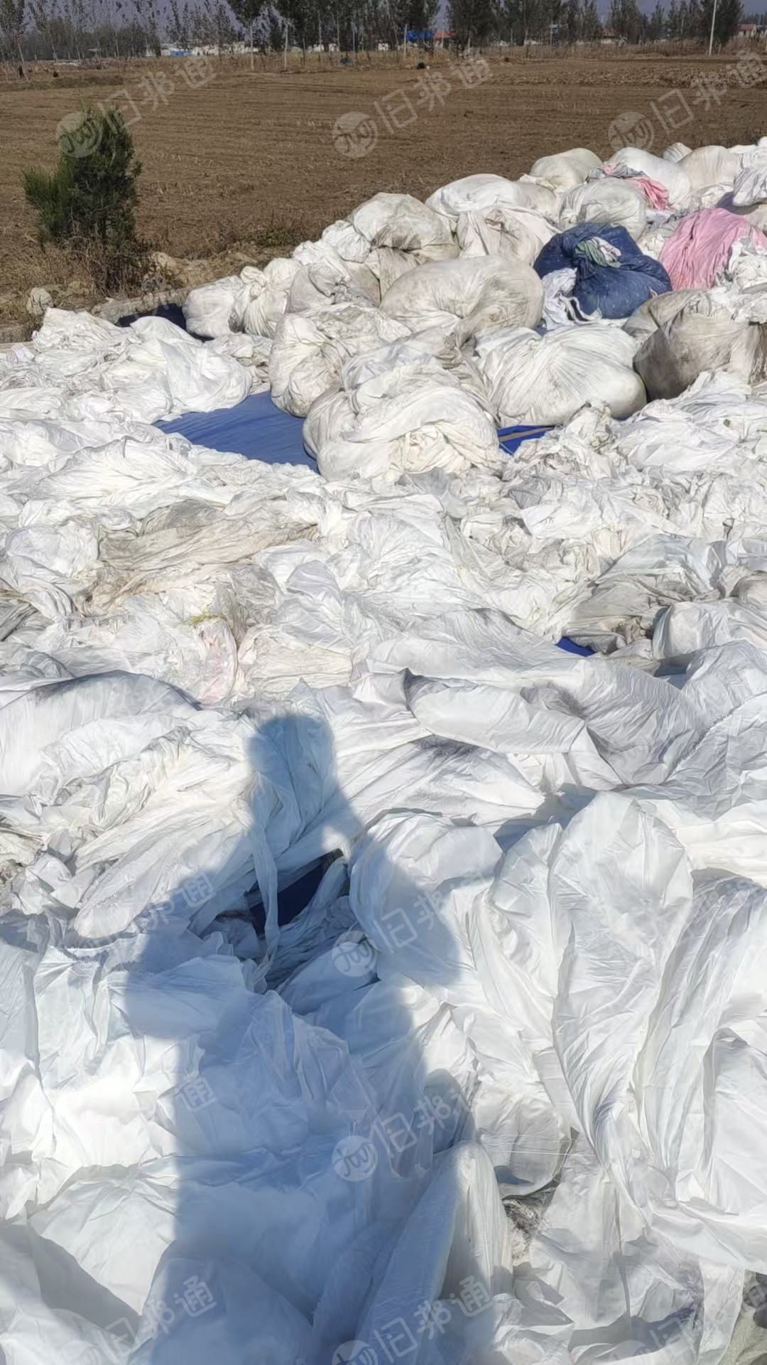 现货低价处理涤纶白布，染厂下来的，湿度在20左右，货在山东临沂