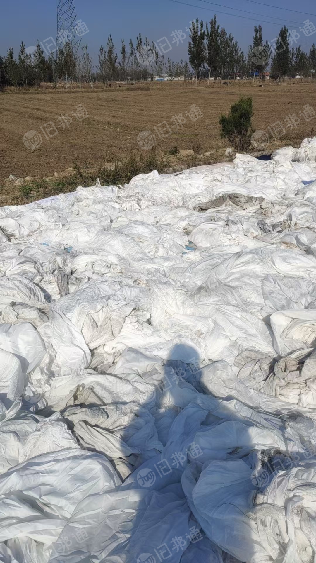 现货低价处理涤纶白布，染厂下来的，湿度在20左右，货在山东临沂