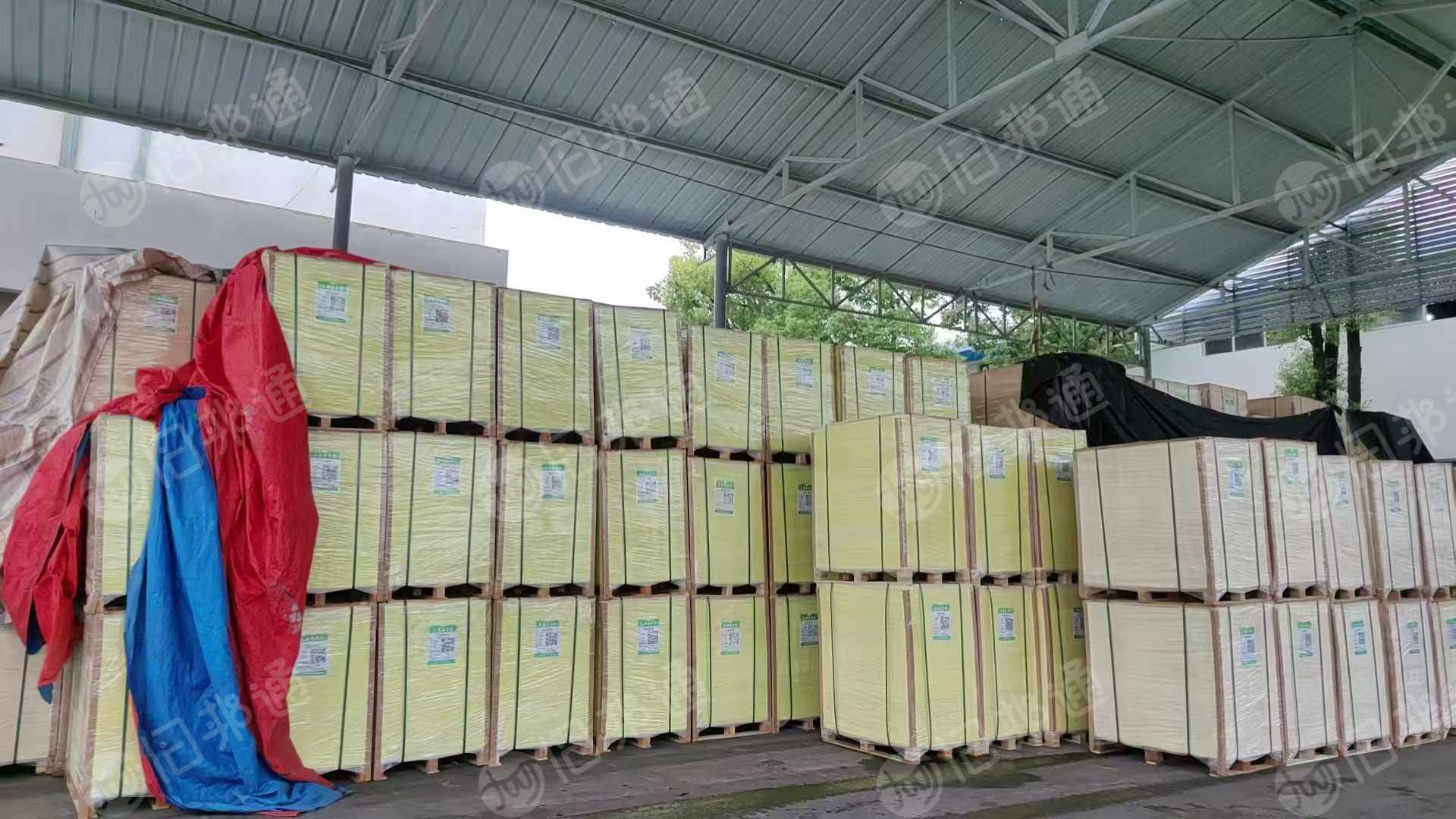 长期供应本白双胶卷筒纸，大量货源