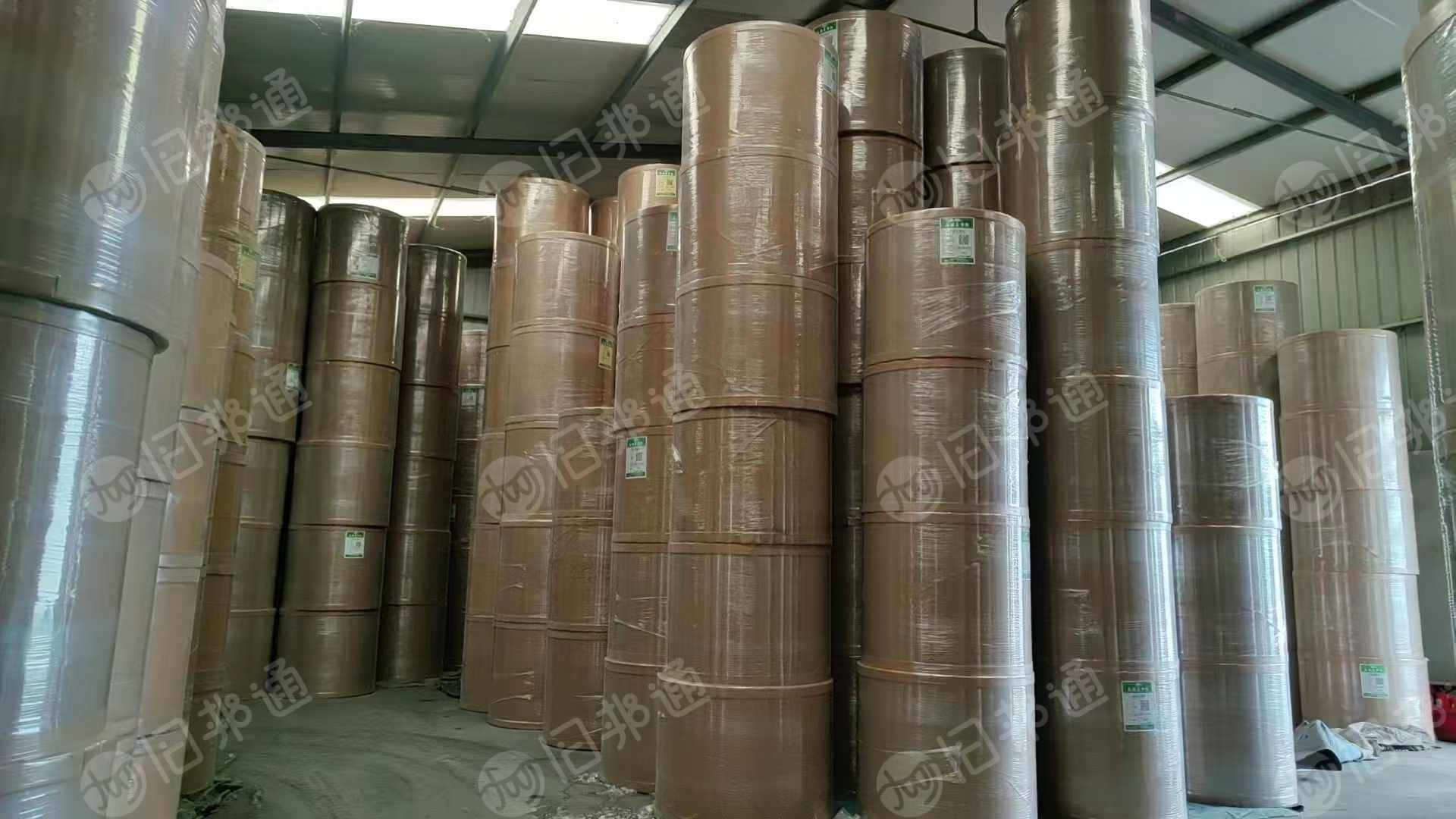 长期供应本白双胶卷筒纸，大量货源