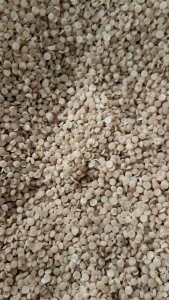 出售PP电池膜颗粒，无油，大白、二级料、涂层的都有