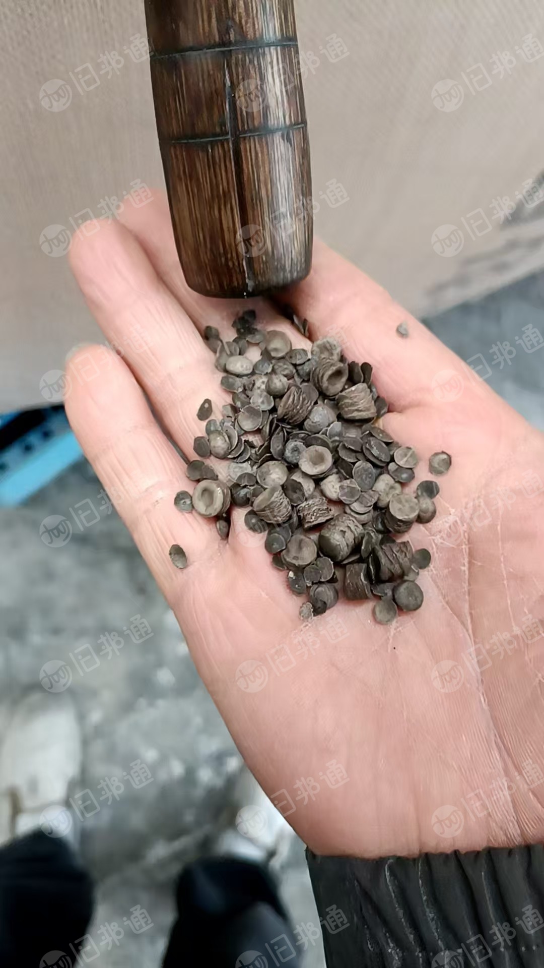 出售PP电池膜颗粒，无油，大白、二级料、涂层的都有