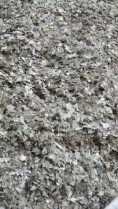 出售pet片材破碎料，可以用来做育苗盘，月供20吨