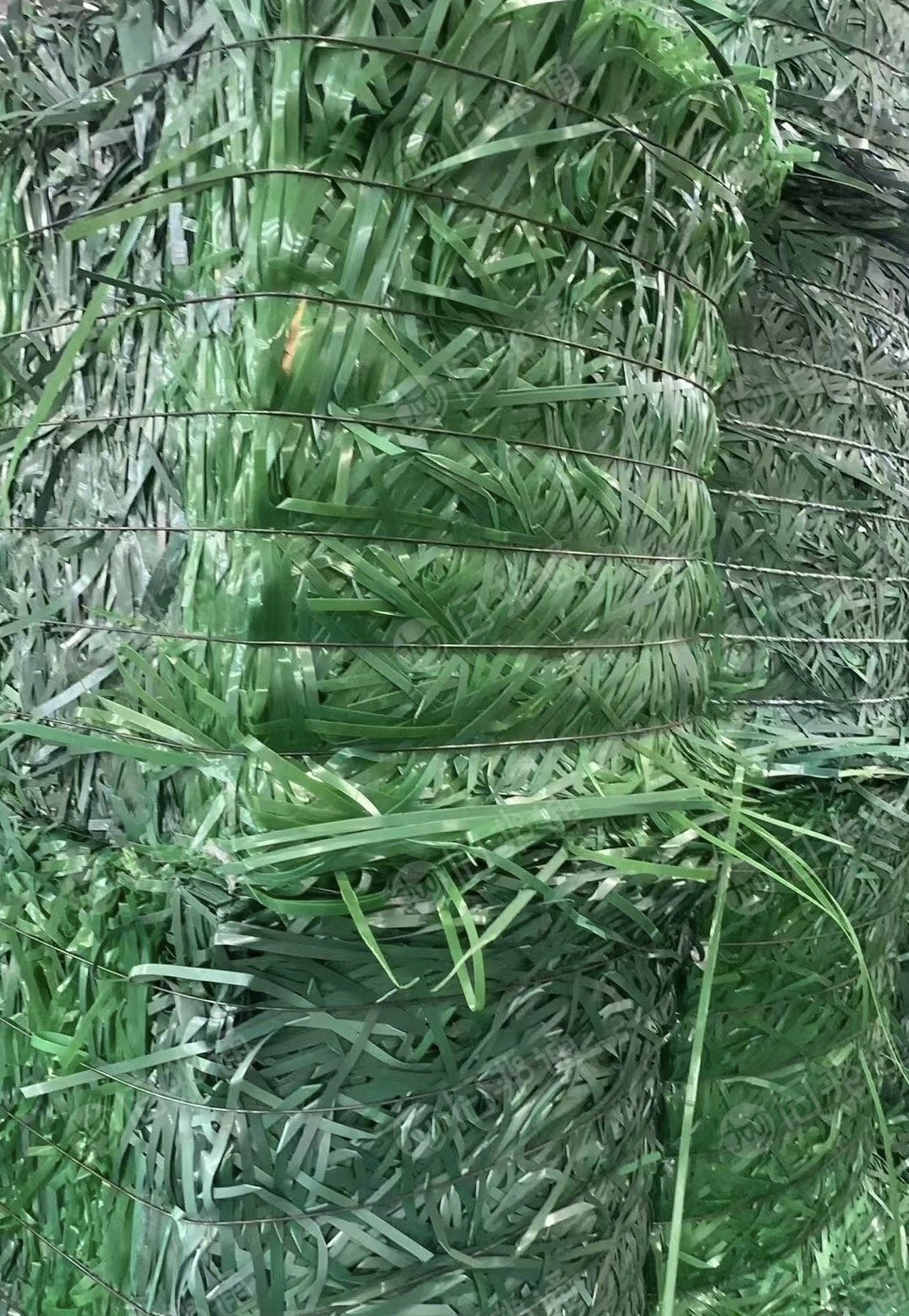 大量求购PET ,PP打包带毛料