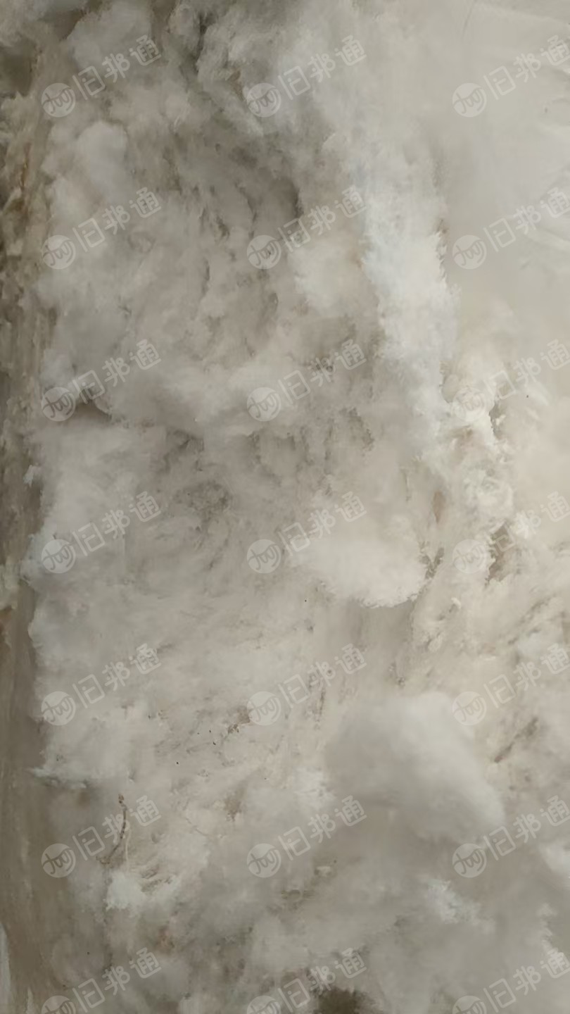 长期大量出售白色涤纶毛毛料，涤纶磨毛料，含水30%以内，月供一百多吨，货在江苏宿迁