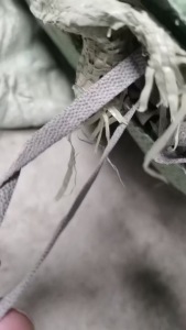 长期大量收购鞋带，无限长一个头的，捆树木用