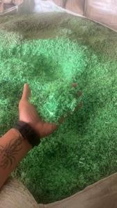 长期大量出售PET打包带破碎料