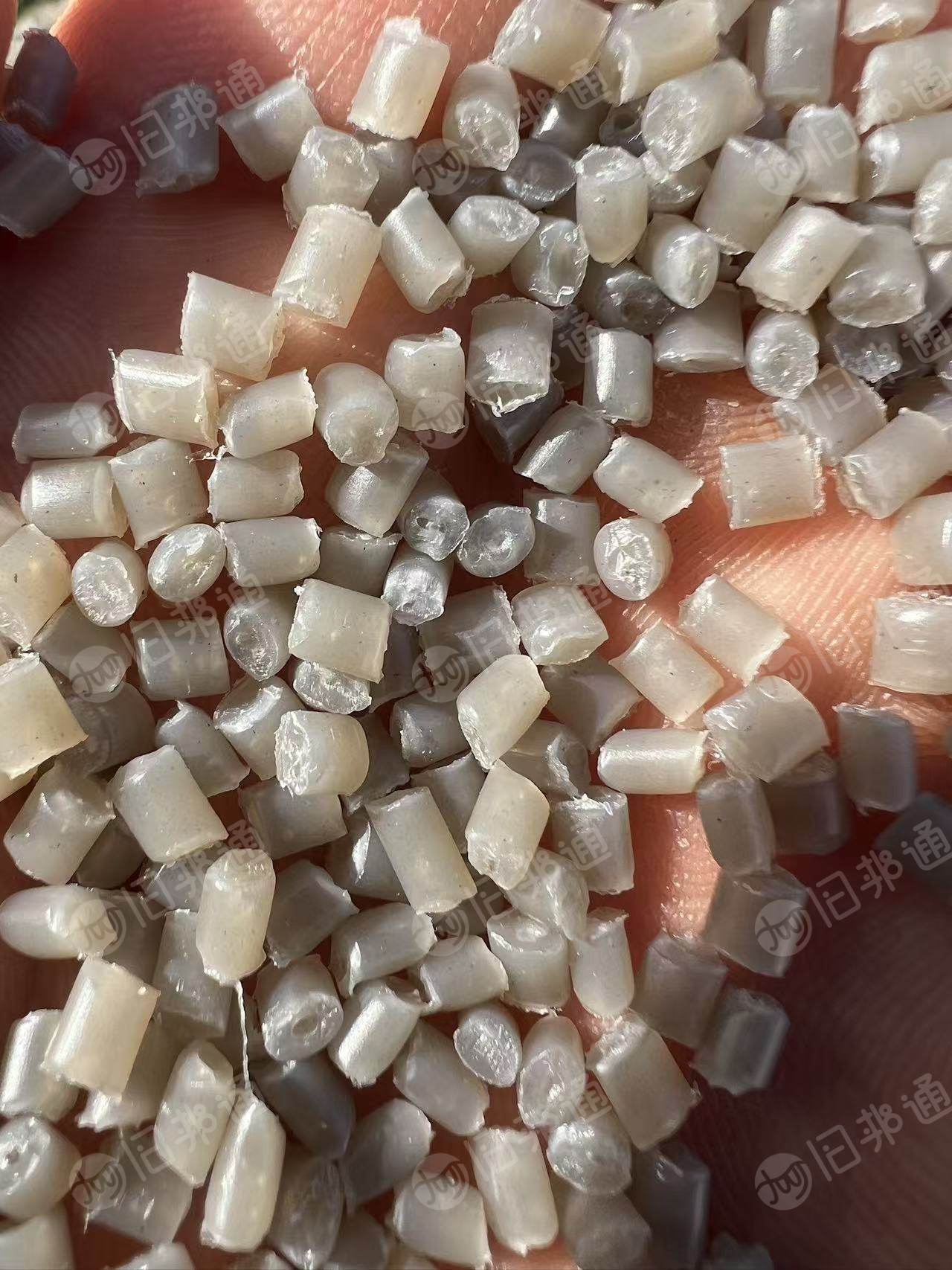 常年出售各种PP打包带颗粒