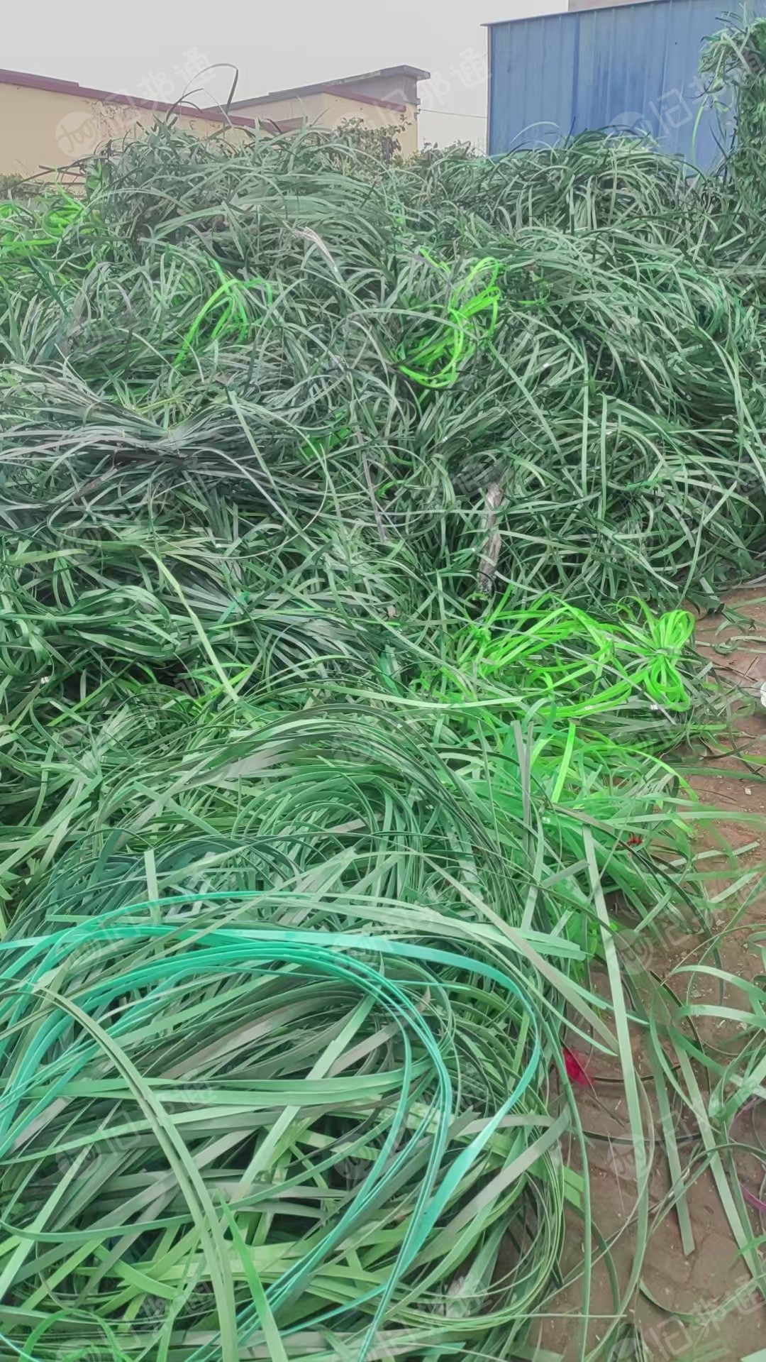 长期出售pet打包带废料，厂货，绿色黑色都有