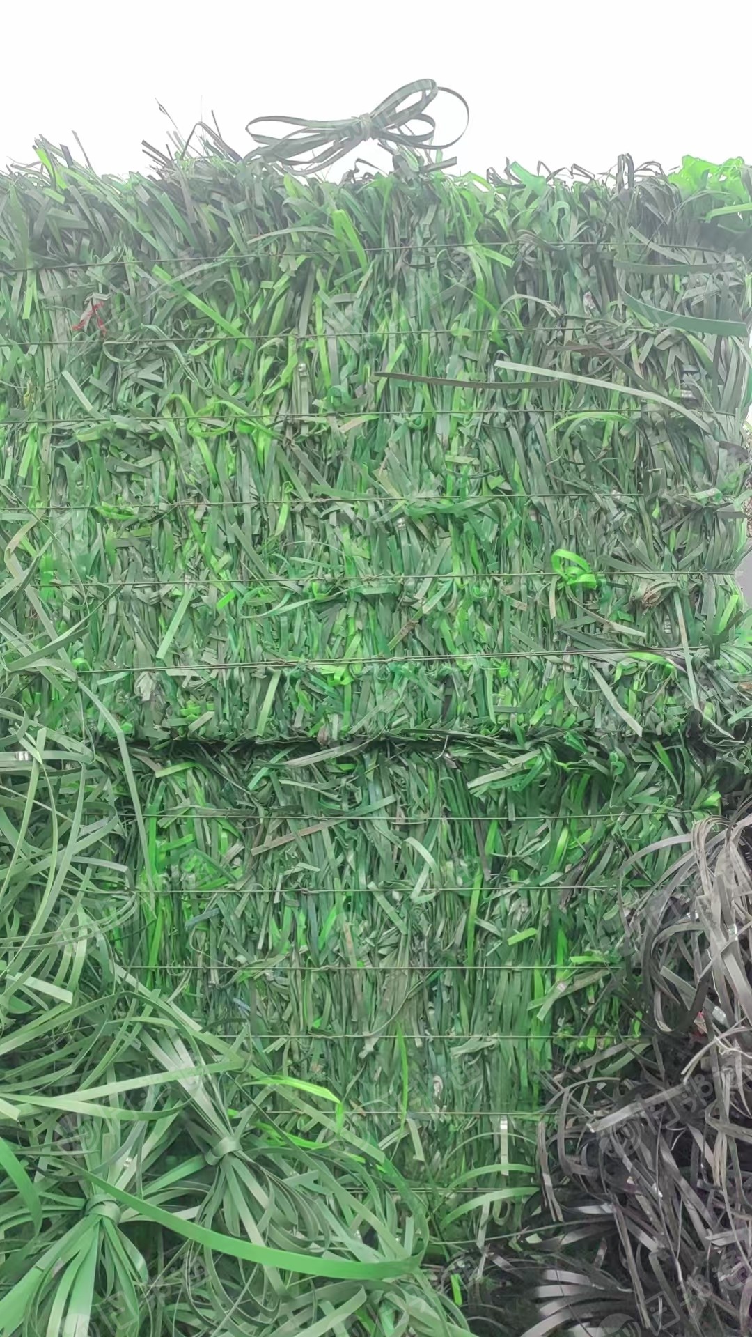 长期出售pet打包带废料，厂货，绿色黑色都有