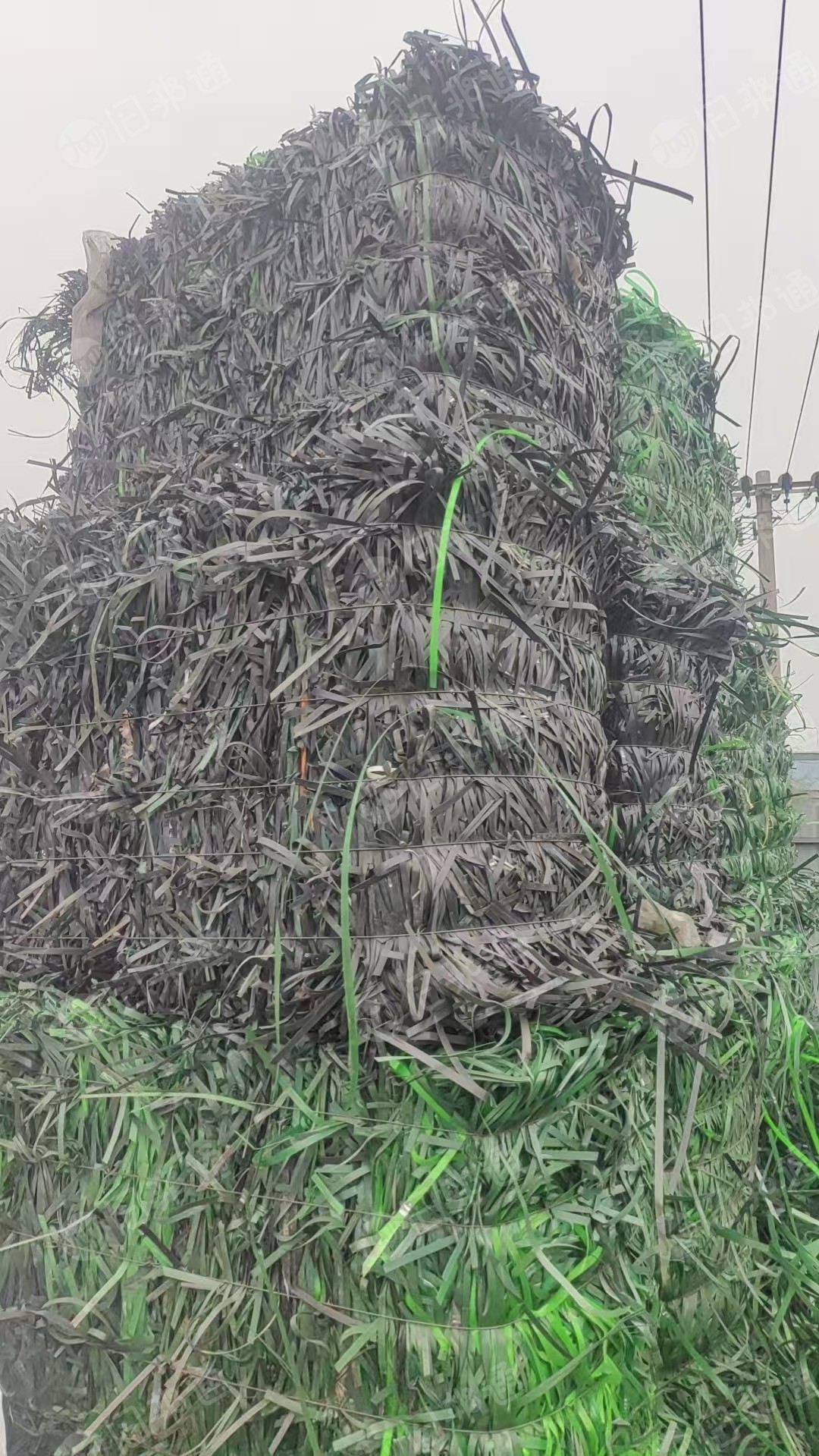 长期出售pet打包带废料，厂货，绿色黑色都有