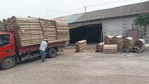 出售大纸筒废料，据开了