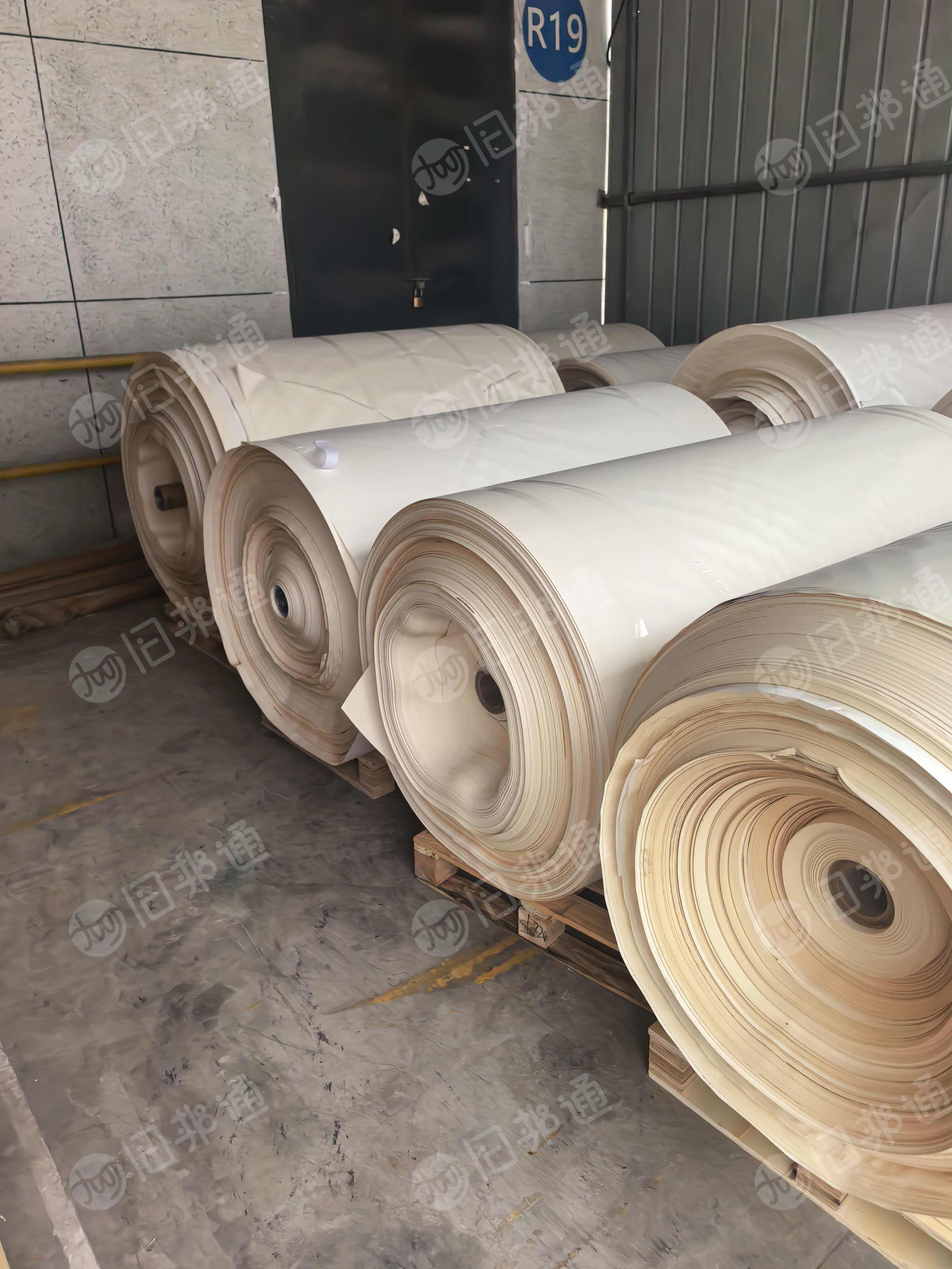 出售淡色的无膜卷筒皮革纸