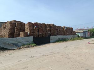 出售纯纸果袋纸废料