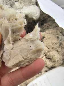 长期出售针叶湿纸浆