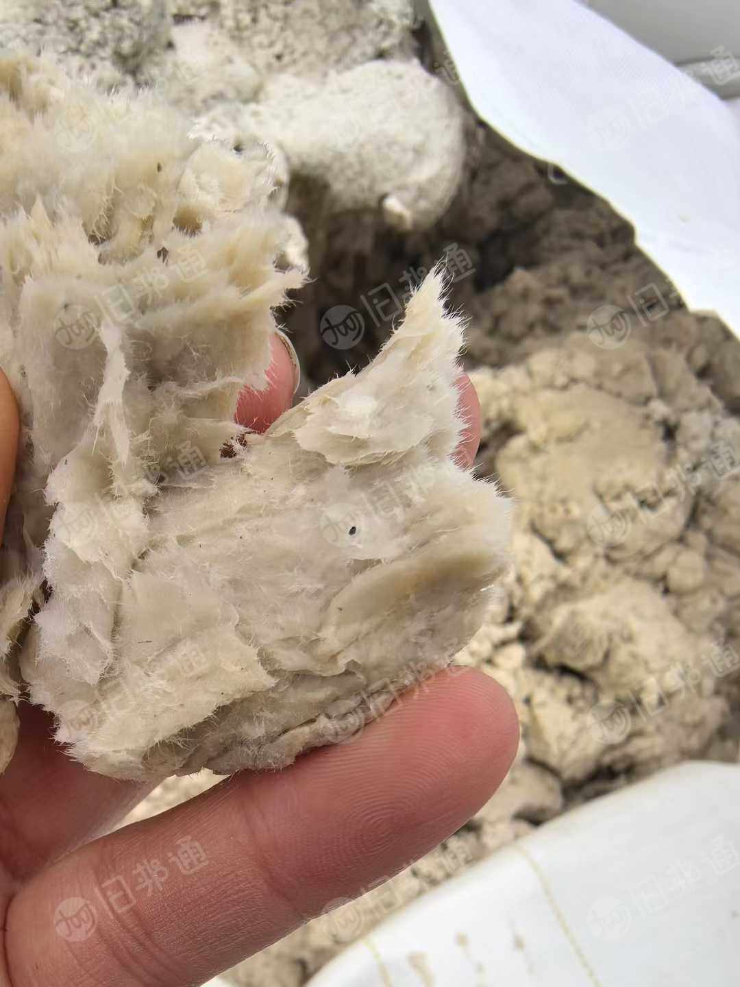 长期出售针叶湿纸浆