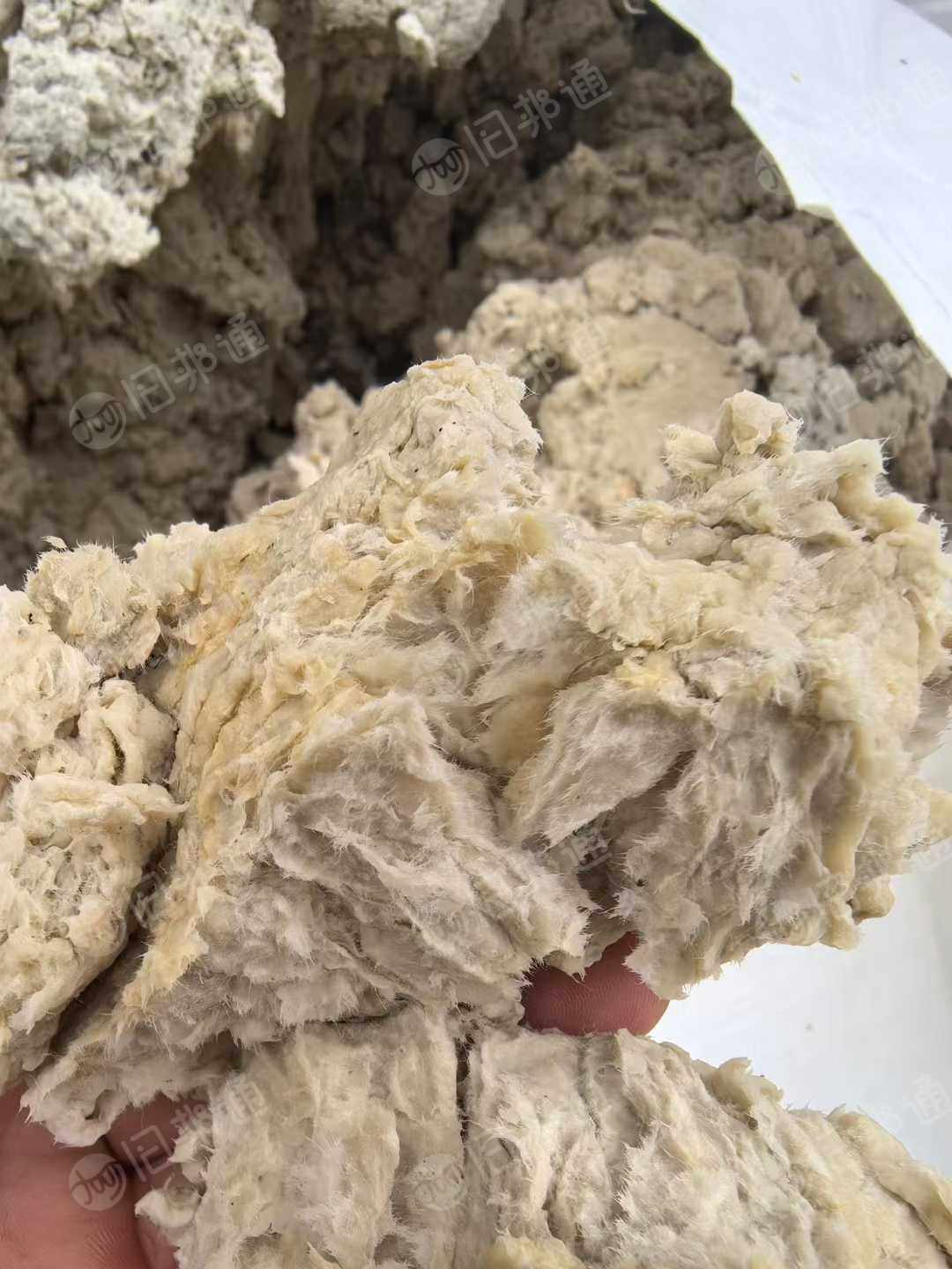 长期出售针叶湿纸浆