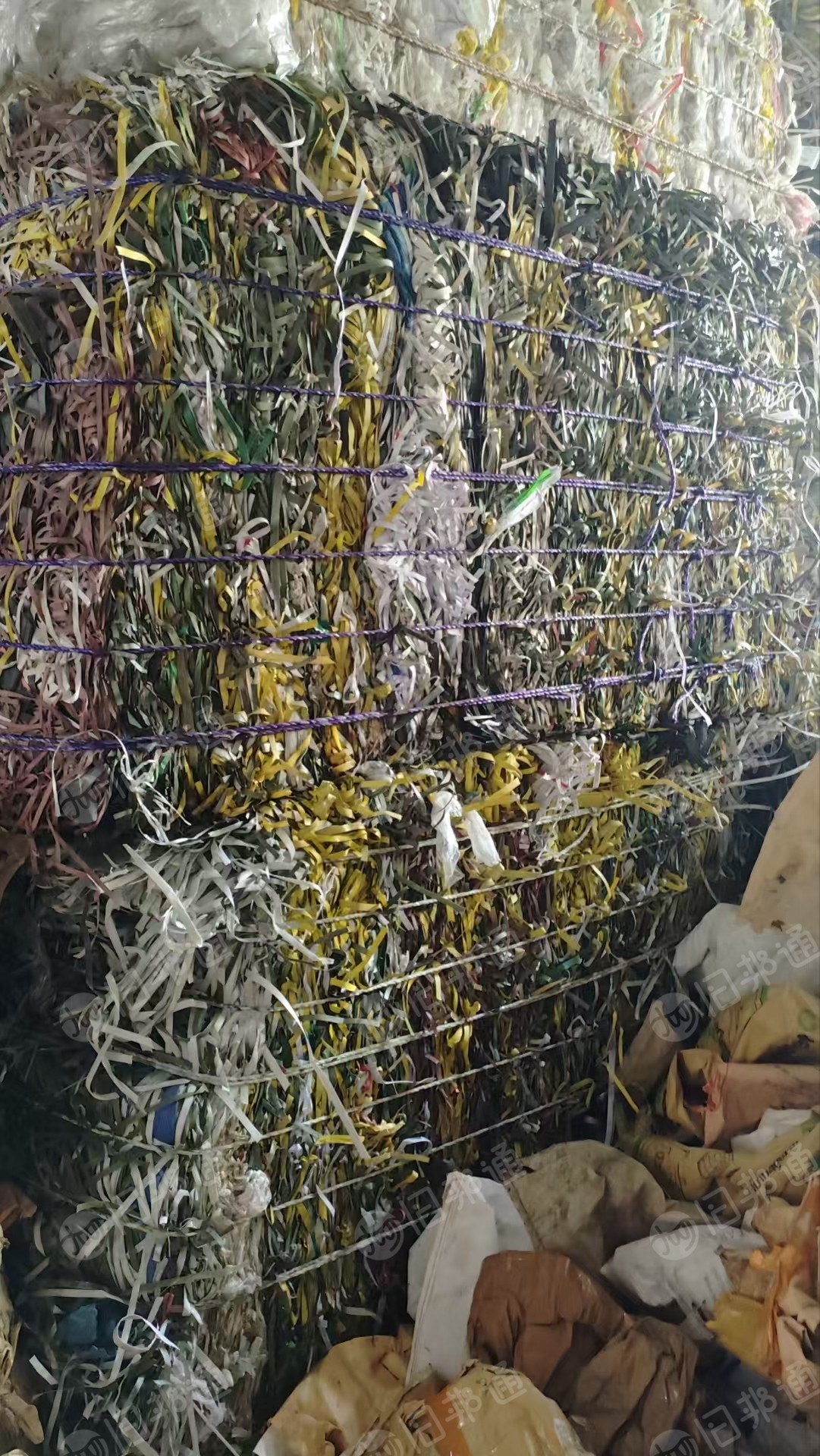 求购PP打包带毛料