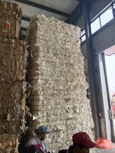 长期出售纯白口杯纸边角料