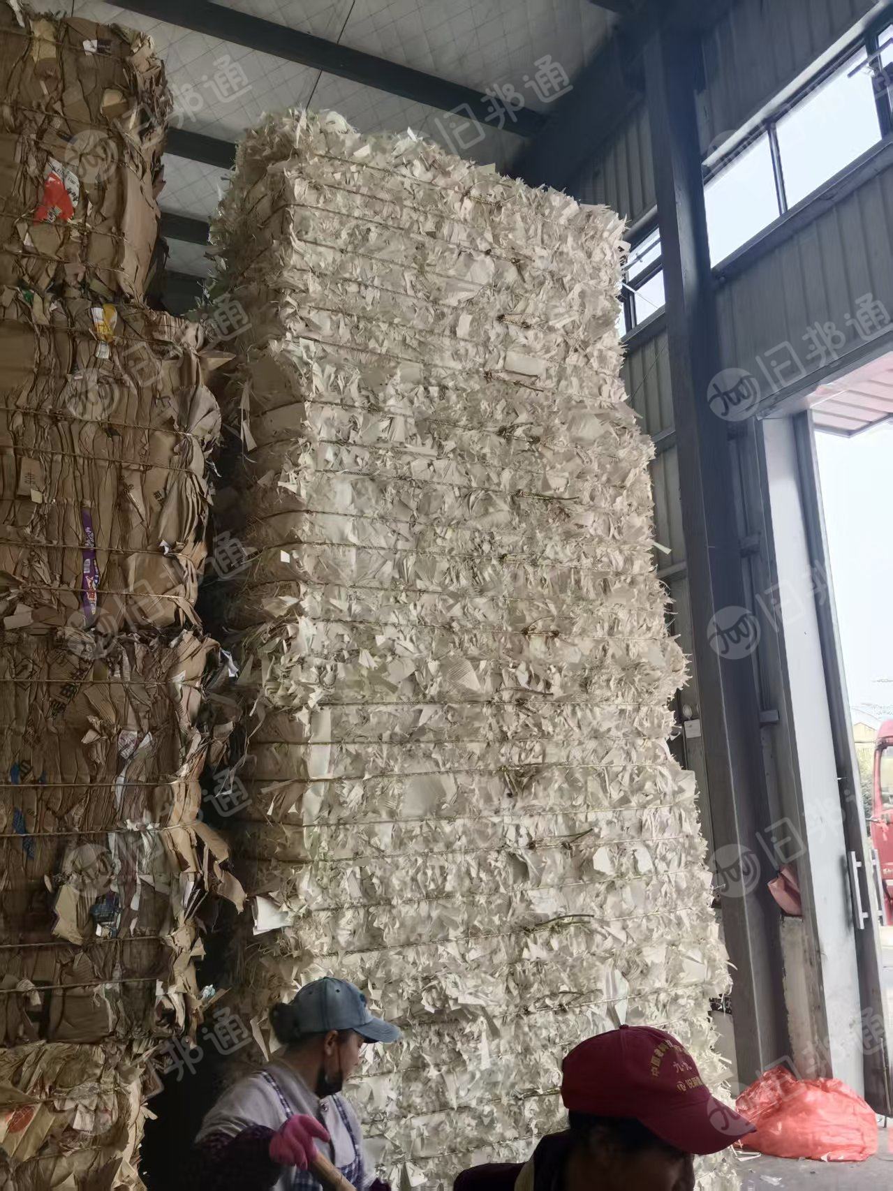 长期出售纯白口杯纸边角料