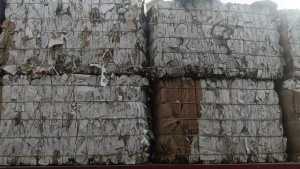 出售B级白纸挂面甲牛