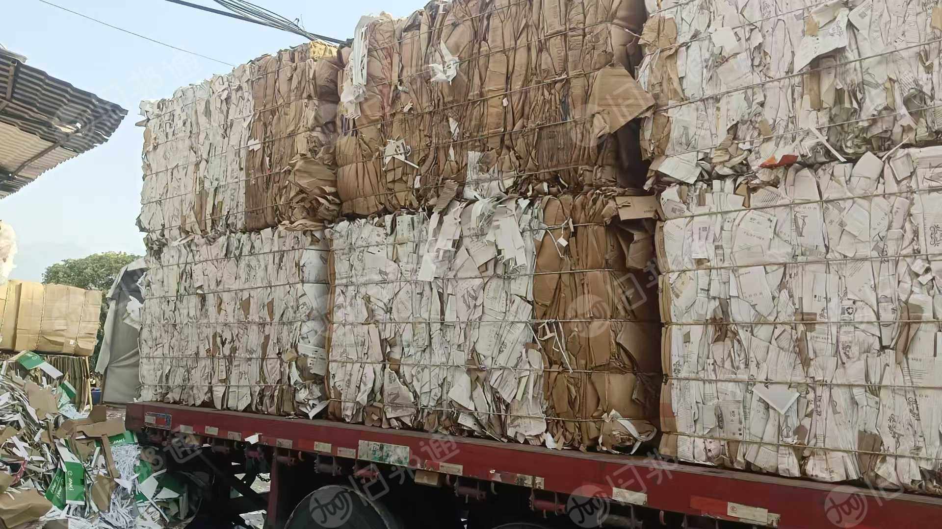 出售B级白纸挂面甲牛