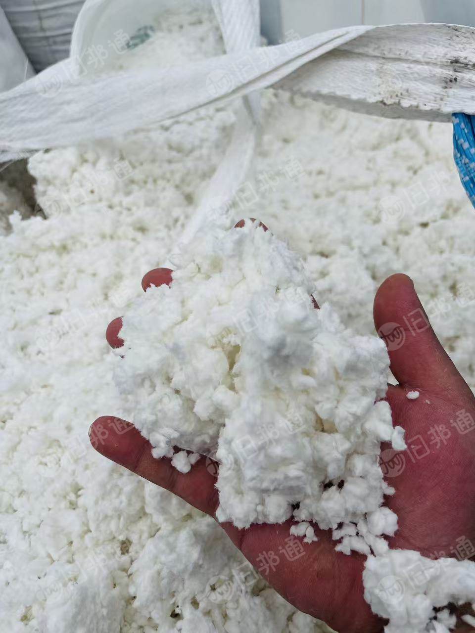 长期出售白色涤纶毛毛料，涤纶磨毛料，含水30%，货在山东菏泽