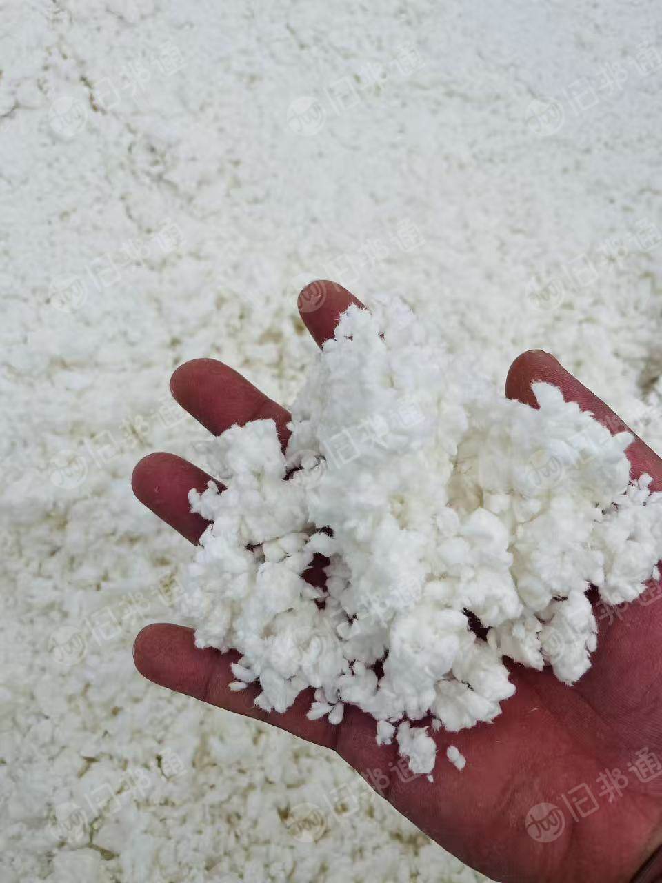 长期出售白色涤纶毛毛料，涤纶磨毛料，含水30%，货在山东菏泽