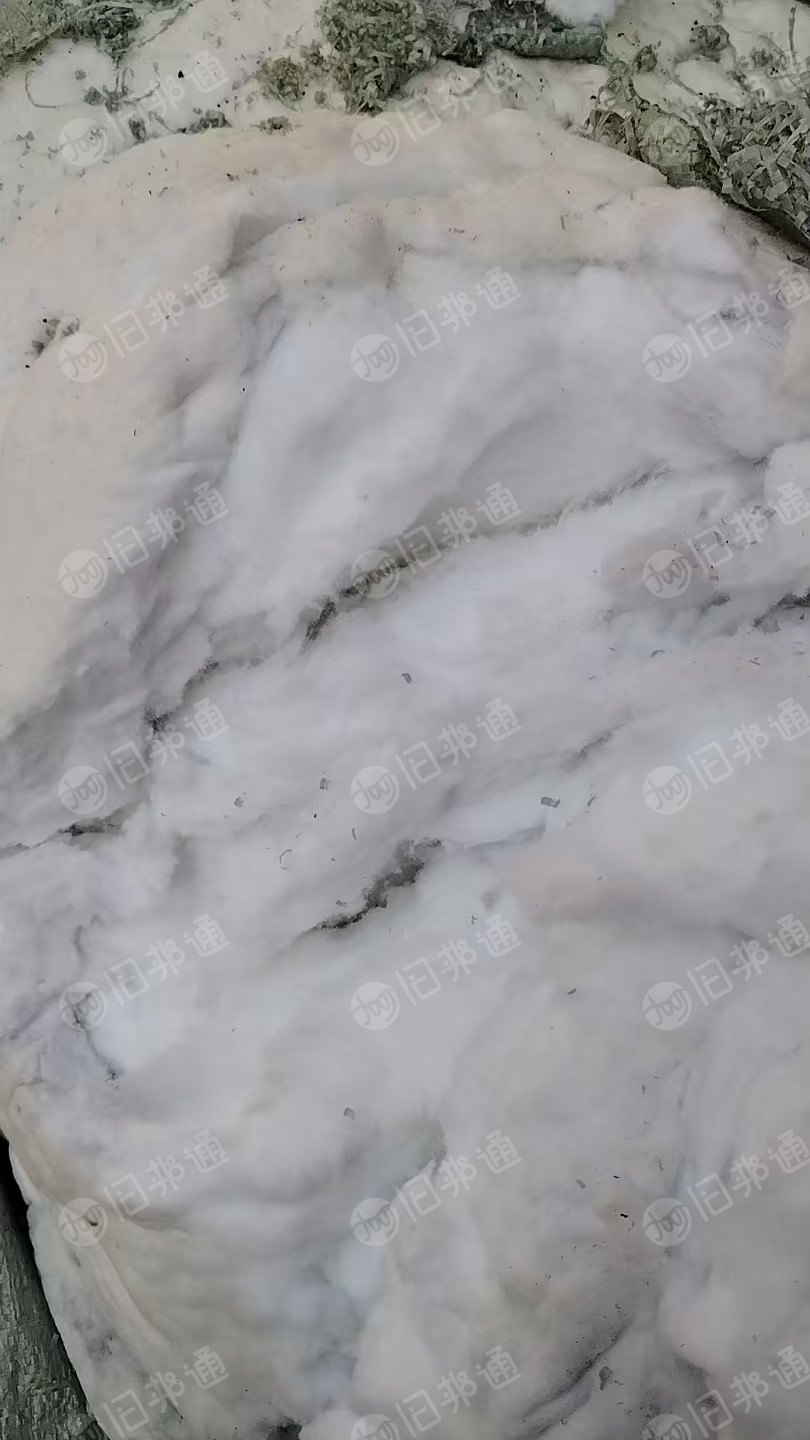 长期免费送全棉绒，毛巾厂机器吹出来的，100%全棉，大部分都是白色的，也有其他颜色的，现货6米8一车