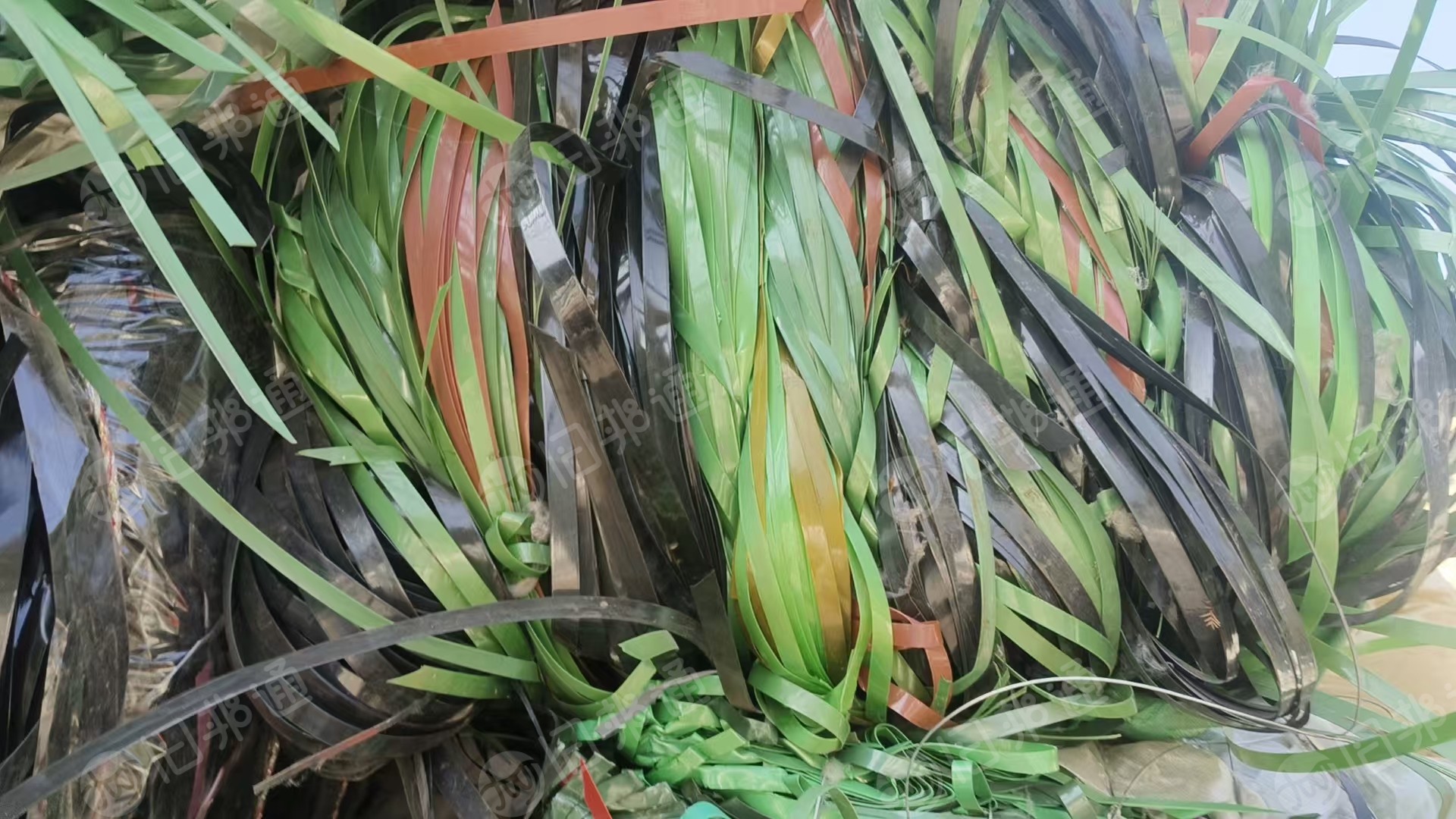 常年大量出售PET打包带毛料，每个月100吨