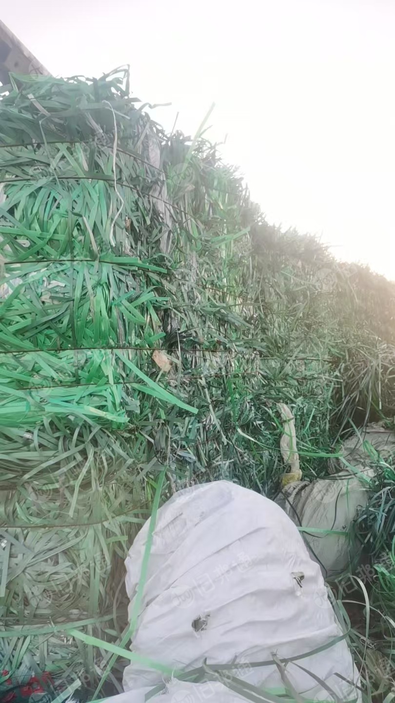 常年出售PET打包带毛料，现货三十几吨