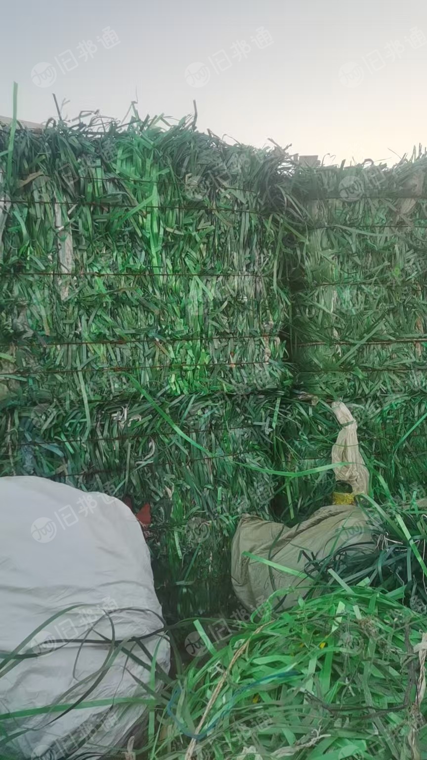 常年出售PET打包带毛料，现货三十几吨